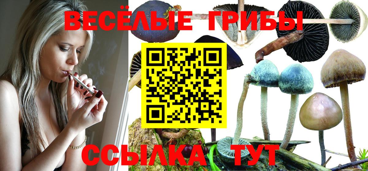 Галлюциногенные грибы Psilocybine cubensis  Вход с VPN  Лесосибирск 